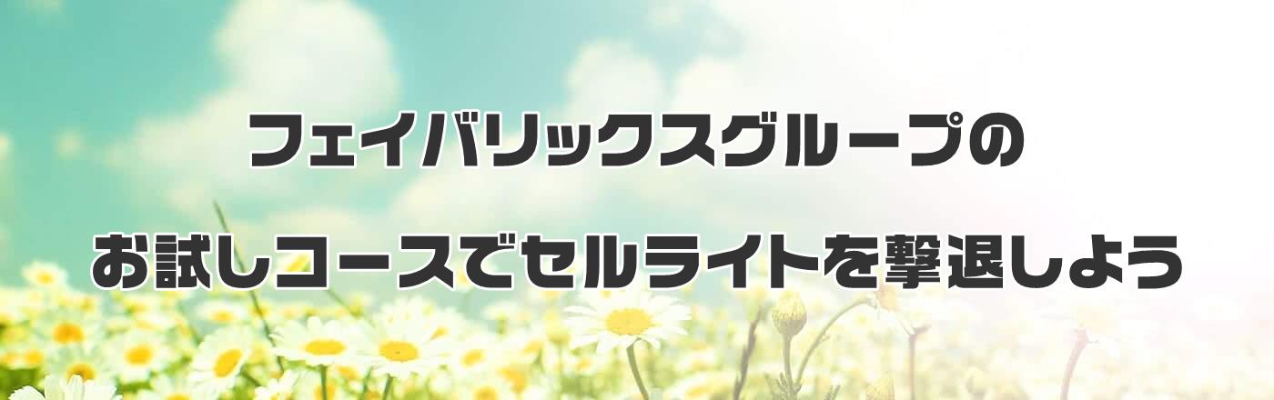 �t�F�C�o���b�N�X�O���[�v�̂������R�[�X�ŃZ�����C�g�����ނ��悤